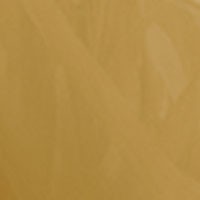Plush Mustard